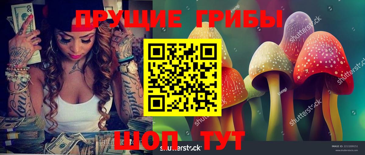 Псилоцибиновые грибы Psilocybe  Вход с VPN  Салават 